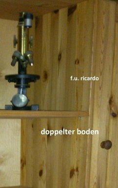 Doppelter Boden (eBook, ePUB) - Ricardo, F. U.