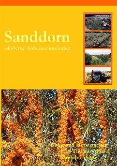 Sanddorn (eBook, ePUB)