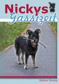 Nickys Gassizeit (eBook, ePUB)