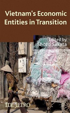 Vietnam's Economic Entities in Transition (eBook, PDF) - Sakata, S.