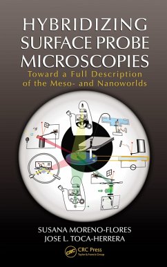 Hybridizing Surface Probe Microscopies (eBook, PDF) - Moreno-Flores, Susana; Toca-Herrera, Jose L.
