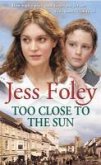 Too Close To The Sun (eBook, ePUB)