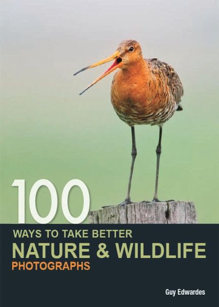 100 Ways to Take Better Nature & Wildlife Photographs (eBook, ePUB) 100 Ways to Take Better Nature & Wildlife Photographs (eBook, ePUB)