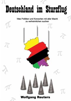 Deutschland im Sturzflug (eBook, ePUB)