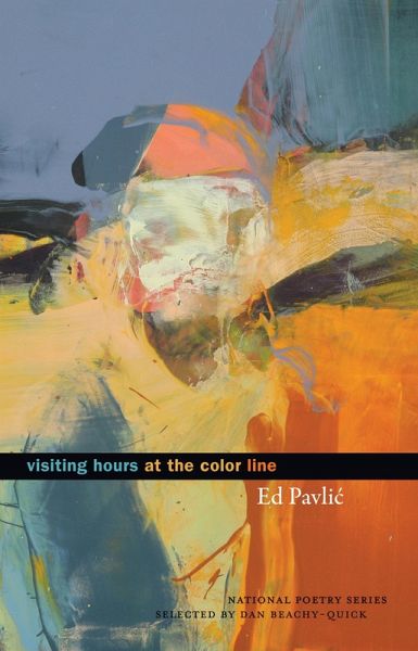 Visiting Hours at the Color Line (eBook, ePUB)