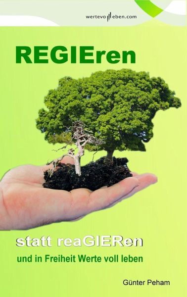 Regieren statt reagieren (eBook, ePUB)