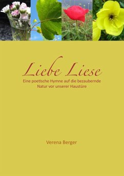 Liebe Liese (eBook, ePUB)