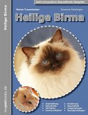 Meine Traumkatze: Heilige Birma (eBook, ePUB)