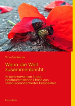 Wenn die Welt zusammenbricht... (eBook, ePUB) - Grünbacher, Timo