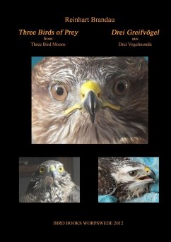 Three Birds of Prey - Drei Greifvögel (eBook, ePUB) - Brandau, Reinhart