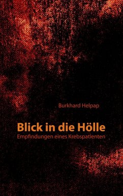 Blick in die Hölle (eBook, ePUB)