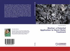 Biochar: a Potential Application to Storm Water Treatment - Morrow, Perry Rose