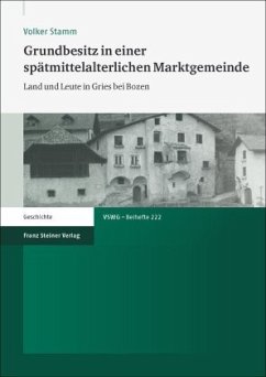 Grundbesitz in einer spätmittelalterlichen Marktgemeinde - Stamm, Volker