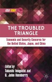 The Troubled Triangle (eBook, PDF)