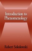 Introduction to Phenomenology (eBook, PDF)