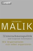 Unternehmenspolitik und Corporate Governance (eBook, ePUB)