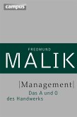 Management (eBook, ePUB)