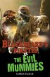 Blackbeard's Pirates vs The Evil... - Bild 1