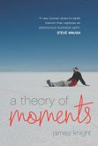 A Theory of Moments (eBook, ePUB) A Theory of Moments (eBook, ePUB)