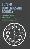 Beyond Economics and Ecology (eBook, ePUB)