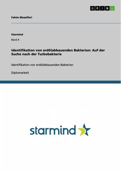 Identifikation von erdölabbauenden Bakterien: Auf der Suche nach der Turbobakterie (eBook, PDF)