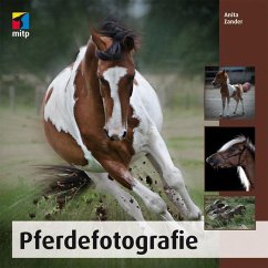 Pferdefotografie - Zander, Anita