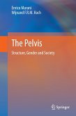 The Pelvis