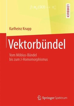 Vektorbündel - Knapp, Karlheinz