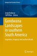 Gondwana Landscapes in southern South... - Bild 1