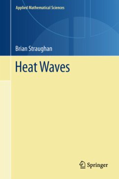 Heat Waves - Straughan, Brian