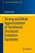 Strong and Weak Approximation of... - Bild 1