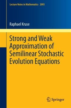 Strong and Weak Approximation of Semilinear Stochastic Evolution Equations - Kruse, Raphael