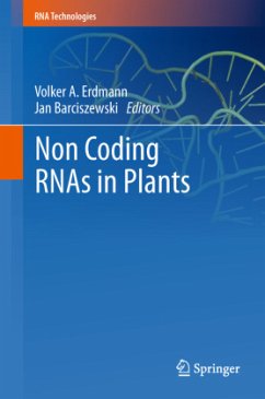 Non Coding RNAs in Plants