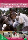 Pferde verstehen - Umgang und Bodenarbeit