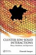 Cluster Ion-Solid Interactions - Bild 1