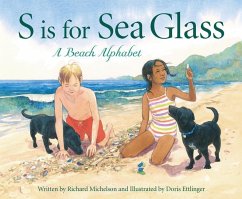 S Is for Sea Glass - Michelson, Richard