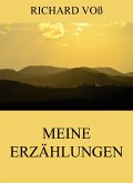 Meine Erzählungen (eBook, ePUB)