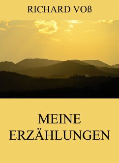 Meine Erzählungen (eBook, ePUB) - Voß, Richard