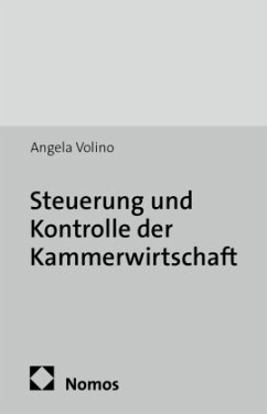 Cover Steuerung und Kontrolle der Kammerwirtschaft
