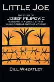 Little Joe - The Story of Josef Filipovic Surviving in a World at War While Fighting Another at Home