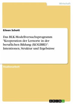 Das BLK-Modellversuchsprogramm &quote;Kooperation der Lernorte in der beruflichen Bildung (KOLIBRI)&quote;: Intentionen, Struktur und Ergebnisse (eBook, ePUB)