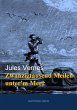 Zwanzigtausend Meilen unter'm Meer... - Bild 1
