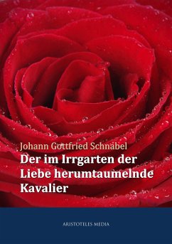 Der im Irrgarten der Liebe herumtaumelnde Kavalier (eBook, ePUB) - Schnabel, Johann Gottfried
