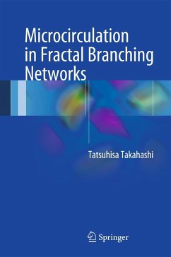 Microcirculation in Fractal Branching Networks - Takahashi, Tatsuhisa