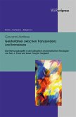 Geisterfahrer zwischen Transzendenz und Immanenz (eBook, PDF)