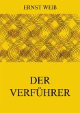 Der Verführer (eBook, ePUB)