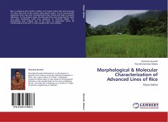 Morphological & Molecular Characterization of Advanced Lines of Rice
