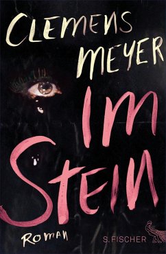 Im Stein (eBook, ePUB) - Meyer, Clemens
