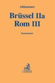 Rom III, Brüssel IIa, Kommentar
