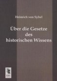 Über die Gesetze des historischen Wissens